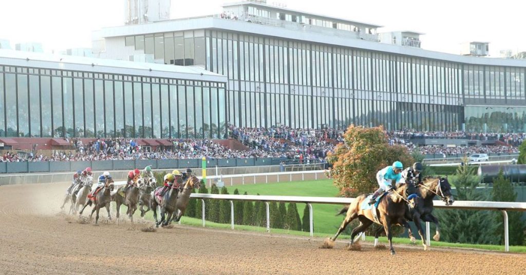 Datos Oaklawn Park hoy 8 de febrero masterbets365 picks carreras americanas