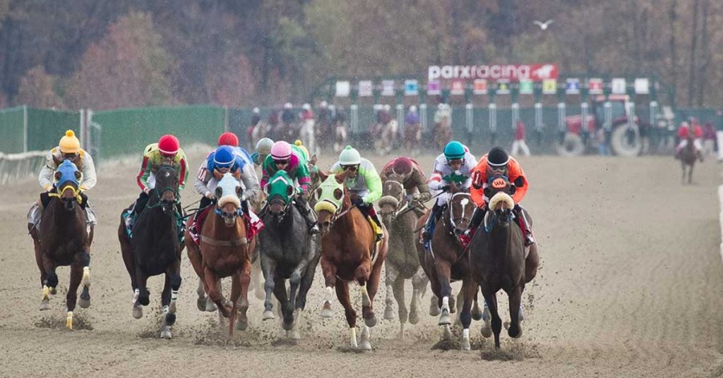 Datos Parx Racing picks de hoy 16 de febrero MasterBets365 carreras americanas