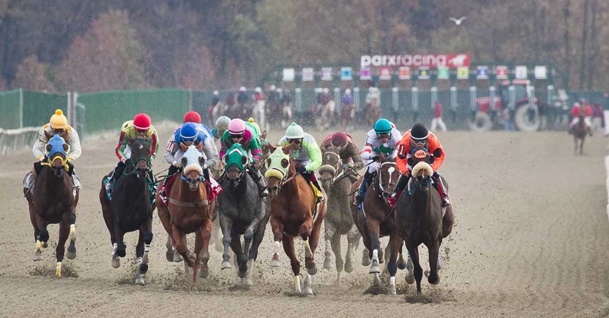 Datos Parx Racing picks de hoy 16 de febrero MasterBets365 carreras americanas