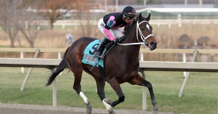 Datos Parx Racing picks hoy 17 de febrero MasterBets365 Apuestas hipicas internacionales