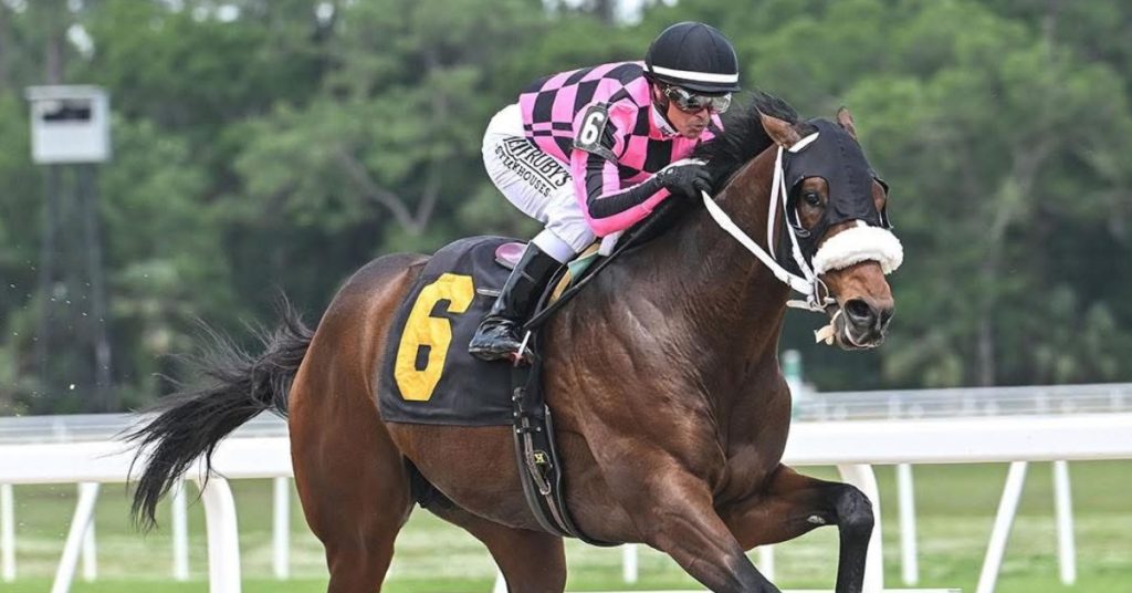 Datos Tampa Bay Downs hoy 1 de marzo MasterBets365 carreras hipodromos norteamericanos