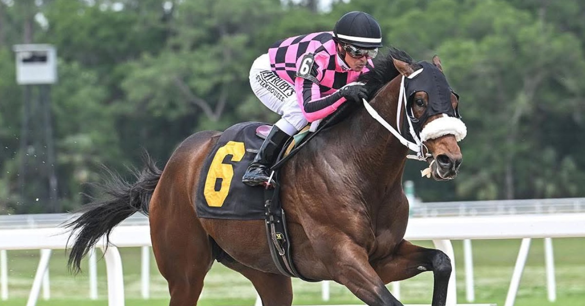Datos Tampa Bay Downs hoy 1 de marzo MasterBets365 carreras hipodromos norteamericanos