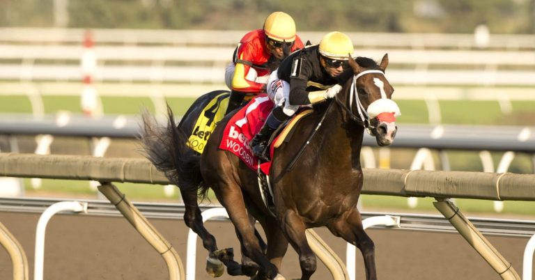 Datos Turfway Park picks hoy 21 de febrero MasterBets365 pronostico hipodromos internacionales