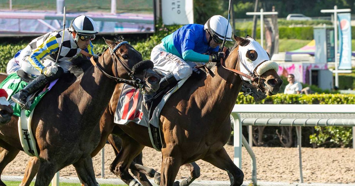 Datos de Santa Anita Park y Picks de hoy 28 de febrero MasterBets365 carreras americanas