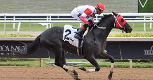 Datos de carreras americanas Gulfstream Park hoy 1 de marzo MasterBets365 hipismo internacional