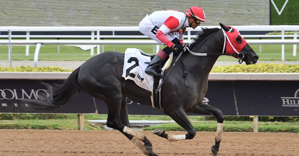 Datos de carreras americanas Gulfstream Park hoy 1 de marzo MasterBets365 hipismo internacional