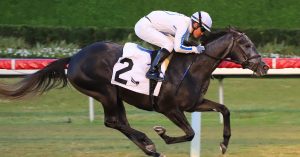 Datos fijos de Gulfstream Park hoy 8 de febrero picks hipodromo norteamericano masterbets365