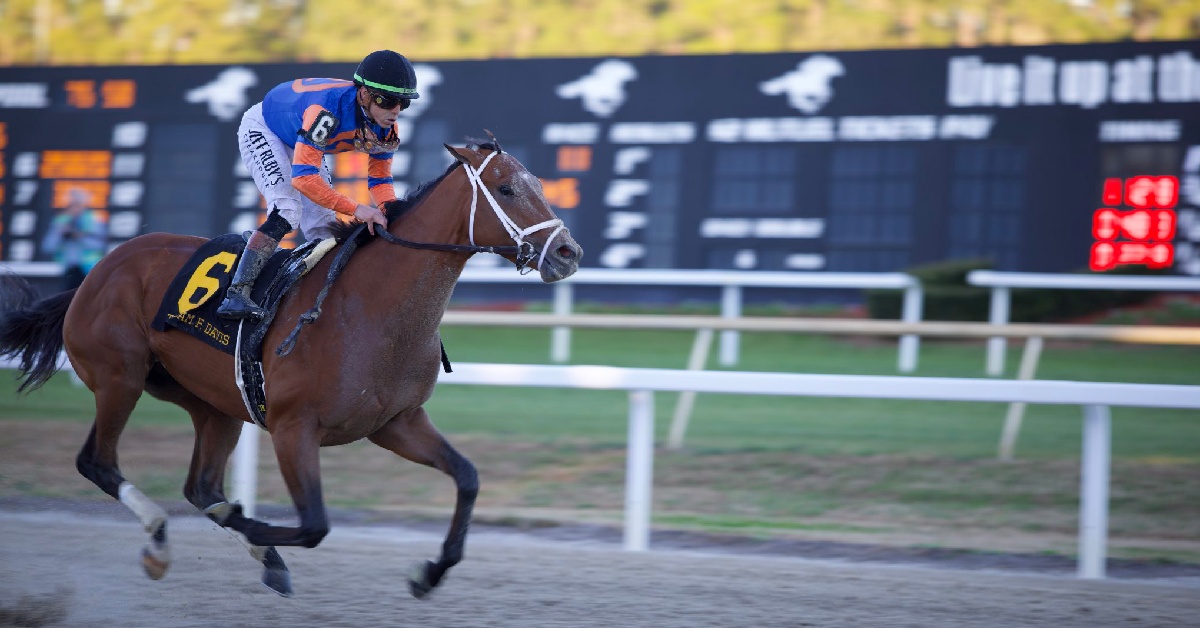 Datos para Tampa Bay Downs hoy 8 de Febrero marcas americanas masterbets365 hipismo internacional