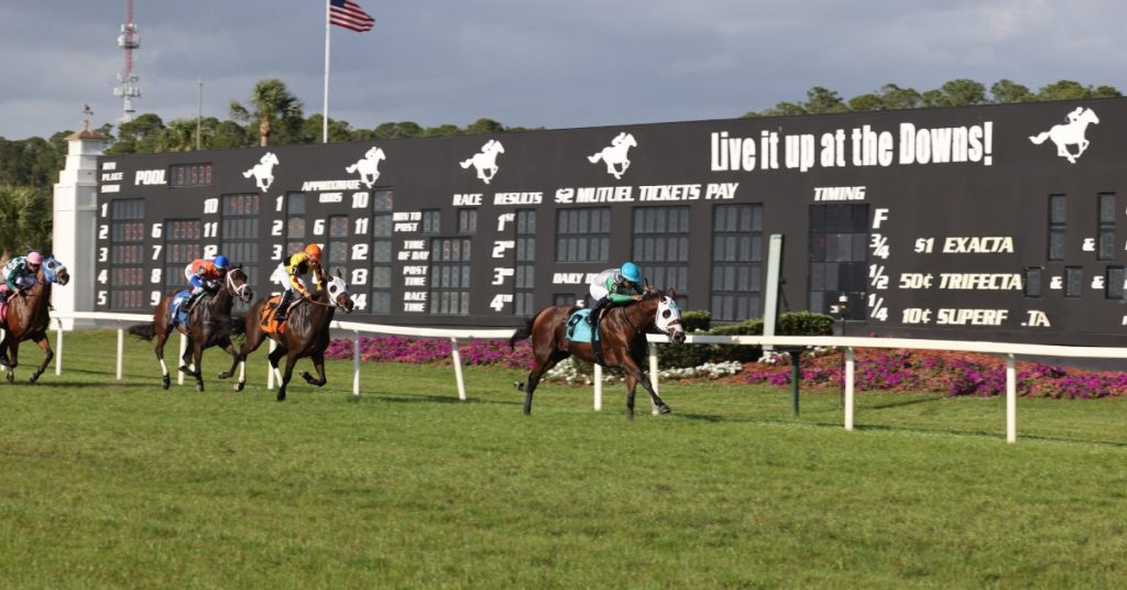 Datos para Tampa Bay Downs hoy masterbets365 retrospectos carreras americanas