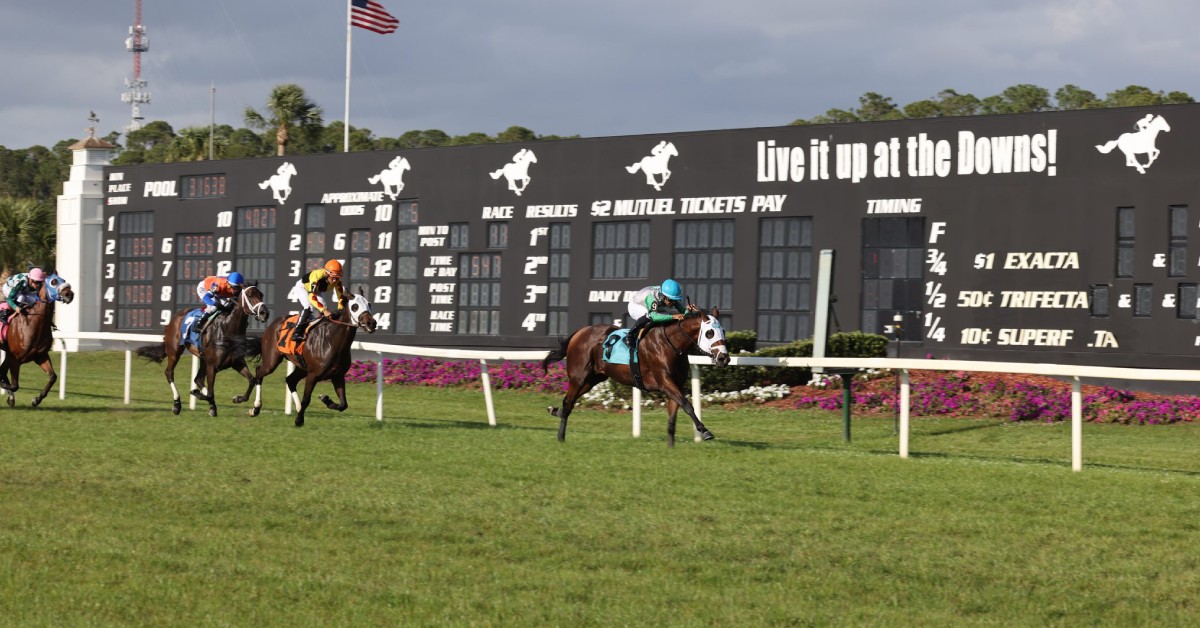 Datos para Tampa Bay Downs hoy masterbets365 retrospectos carreras americanas