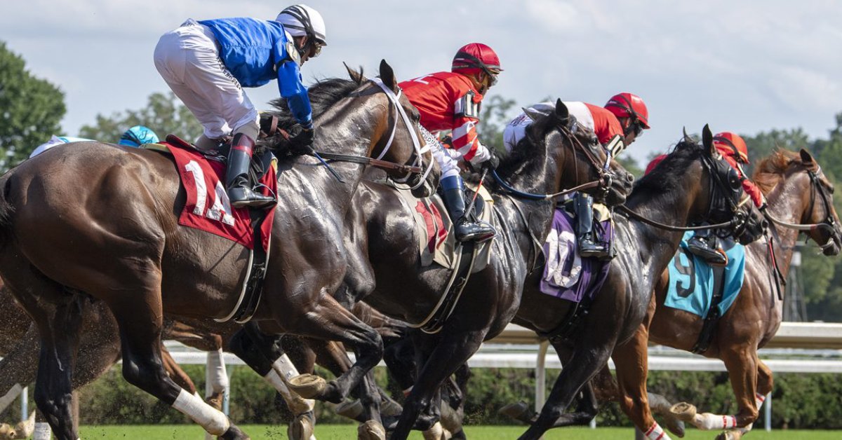 Mahoning valley carreras en vivo - pronóstico carreras americanas