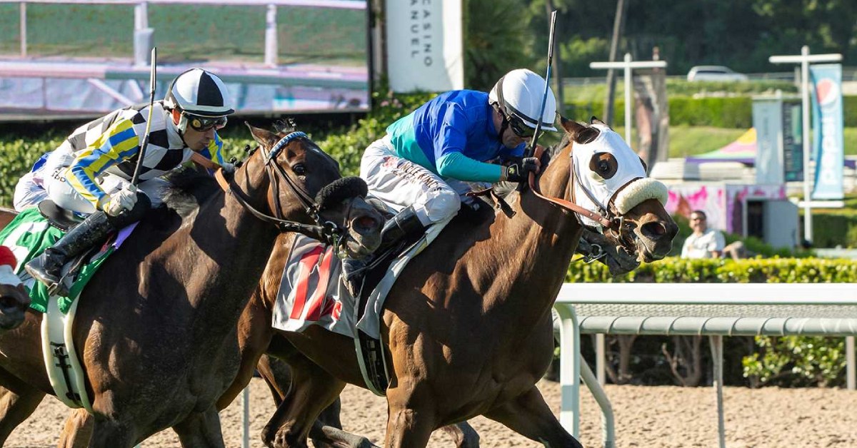 Retrospecto Santa Anita Park hoy 1 de marzo MasterBets365 apuestas hipicas