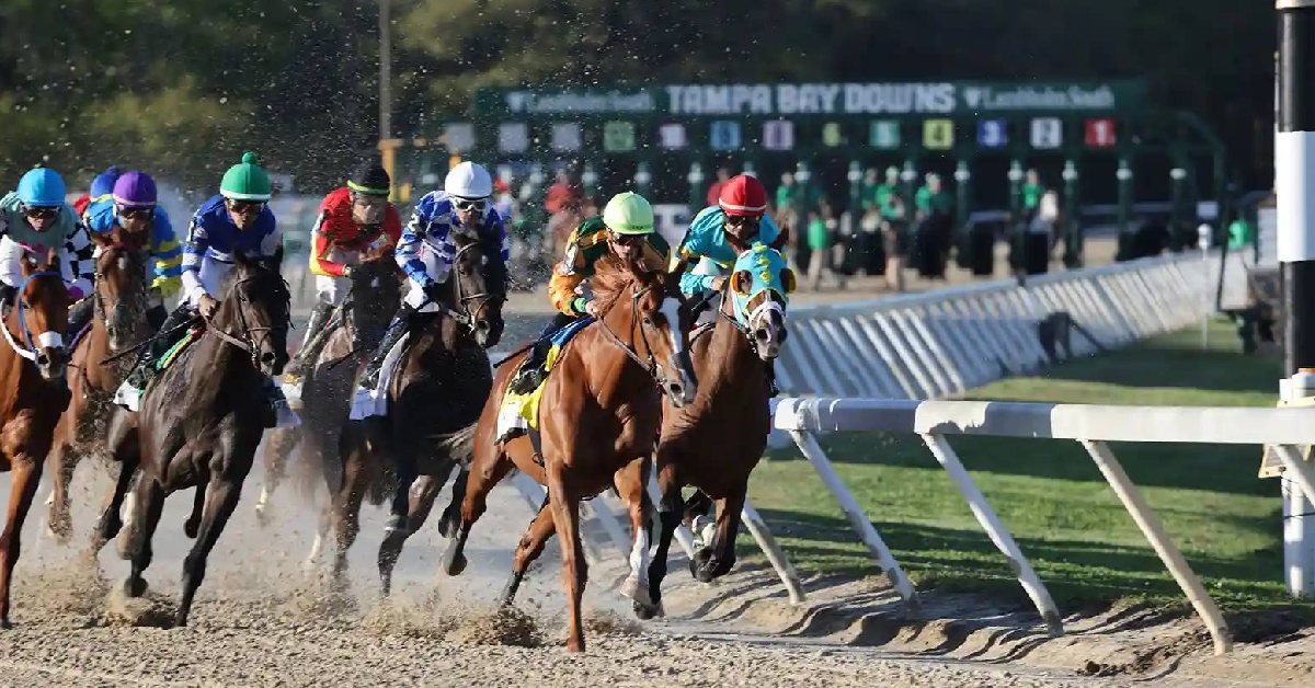 Tampa Bay Downs picks hoy 22 de febrero masterbets365 datos hipodromos norteamericanos