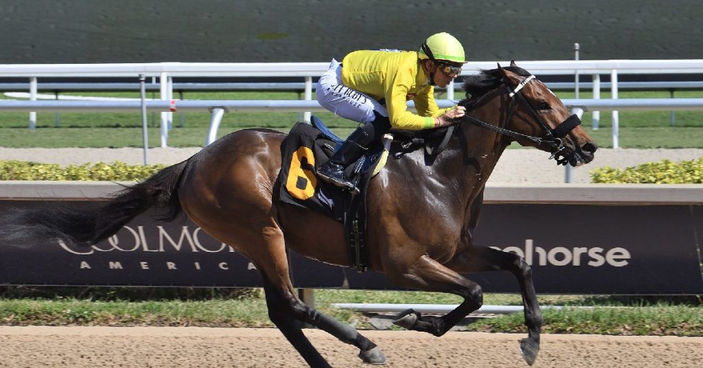 Datos Tampa Bay Downs hoy 8 de marzo pronosticos masterbets365