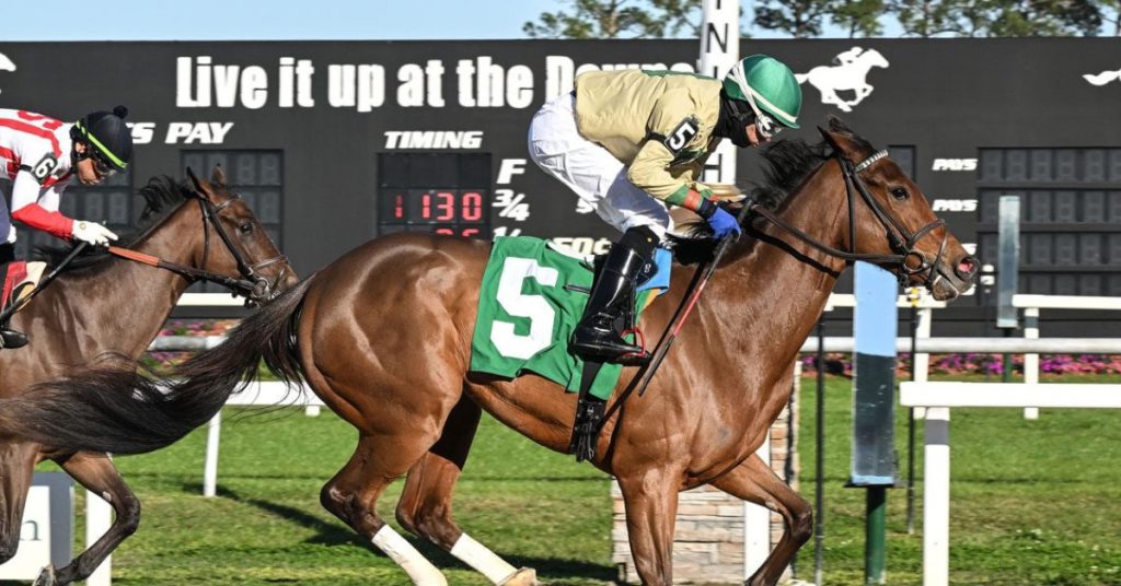 Datos Tampa Bay Downs hoy Picks 14 de marzo  MasterBets365 Hipismo Internacional