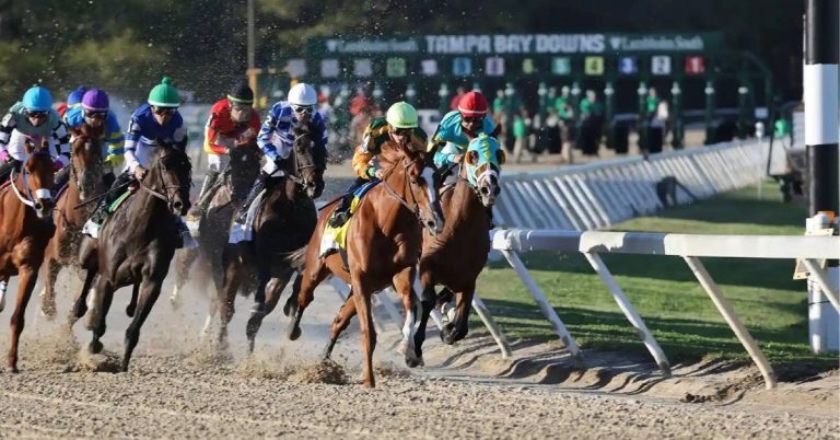 Datos Tampa Bay Downs picks para hoy 7 de marzo pronostico carreras americanas