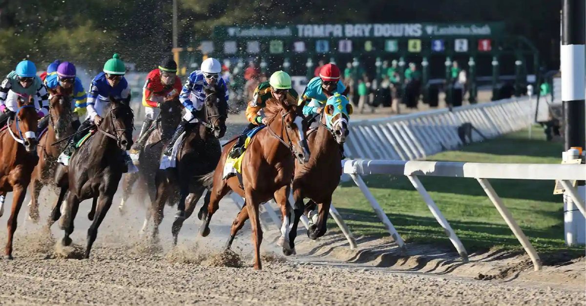 Datos Tampa Bay Downs picks para hoy 7 de marzo pronostico carreras americanas