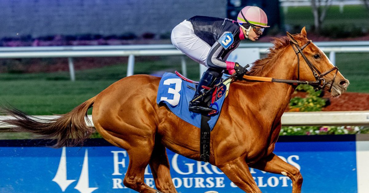 Datos de Oaklawn Park hoy 28 de Marzo MasterBets365 Carreras americanas