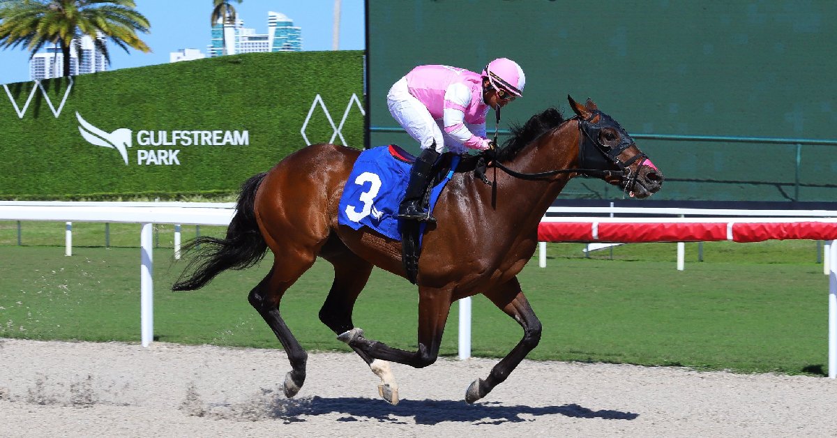 Datos fijos de Gulfstream Park hoy 22 de marzo masterbets365 datos gratis de carreras americanas