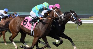 Datos para hoy Gulfstream Park picks 7 de marzo MasterBets365 carreras americanas