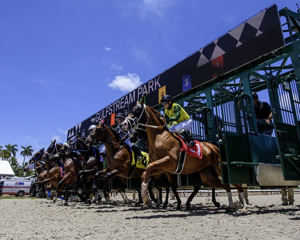 Gulfstream picks for today - programa de carreras de gulfstream park