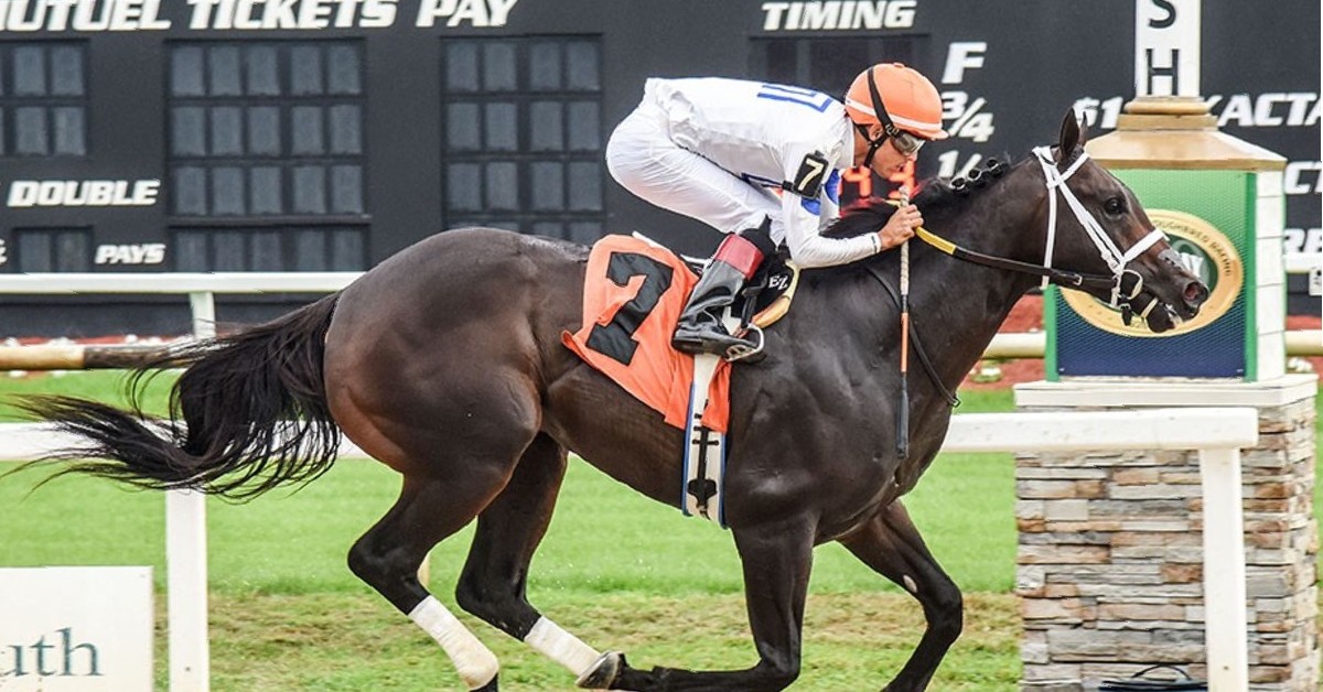 Marcas y datos Tampa Bay Downs hoy 22 de marzo masterbets365 carreras americanas