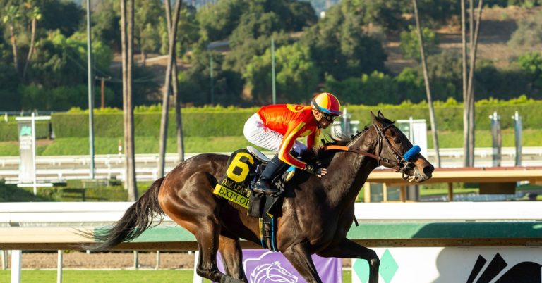 Picks Santa Anita Park datos hoy 7 de marzo masterbets365 pronostico hipico