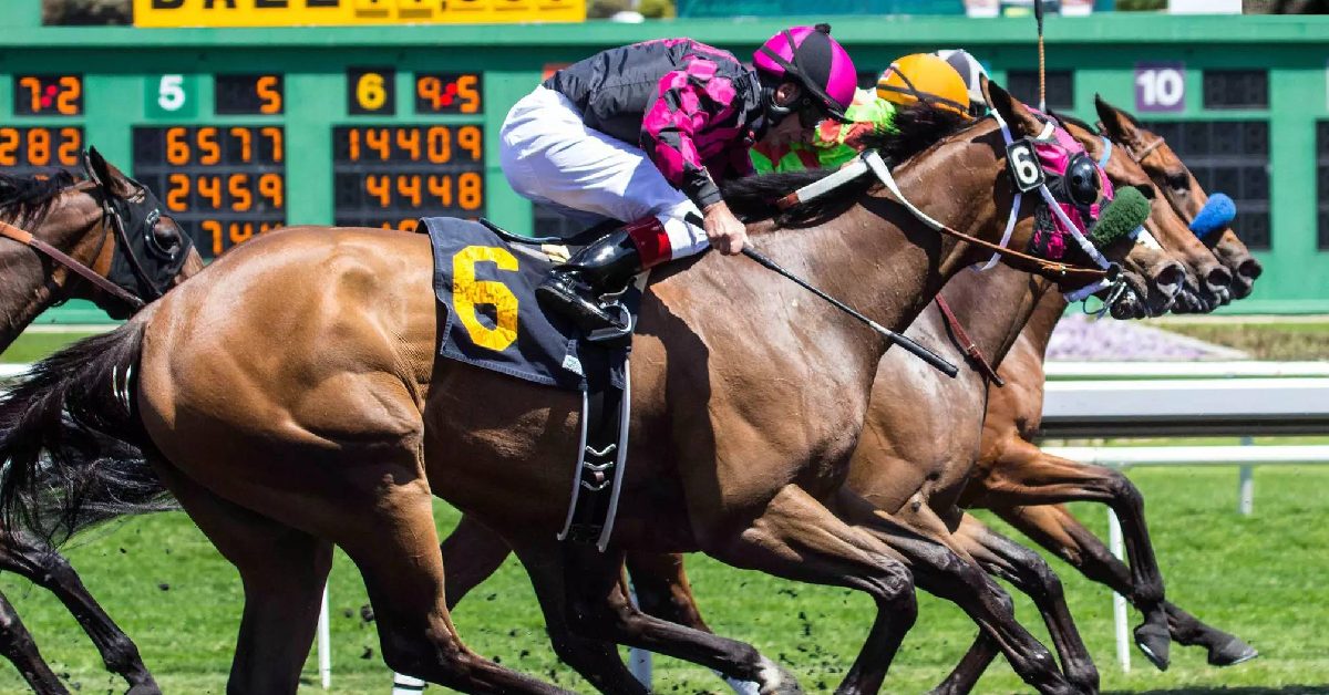 Tampa Bay Downs picks de hoy 15 de marzo masterbets365 pronostico hipismo internacional