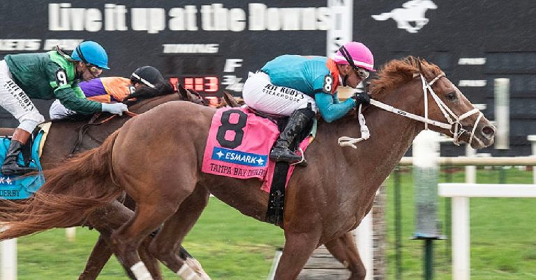 Tampa Downs Pick MasterBets365 carreras americanas y apuestas hipicas