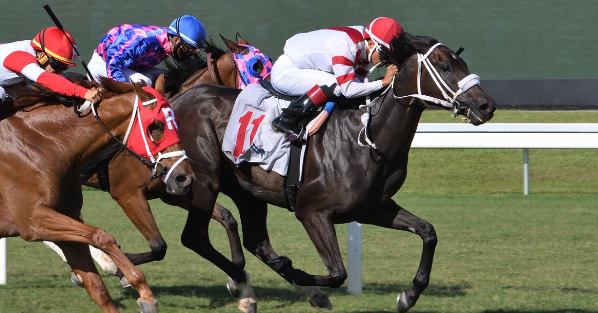 Datos de carreras americanas Gulfstream Park hoy 19 de abril