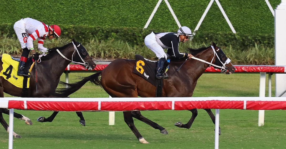 Datos fijos Gulfstream Park picks para hoy 2 de abril Carreras americanas en masterbets365