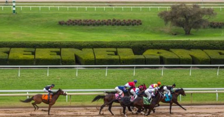 Datos para Keeneland - Blue Grass Stakes 4 de abril MasterBets365 carreras americanas