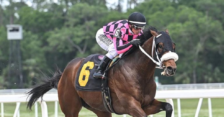 Datos para Tampa Bay Downs hoy 1 de mayo Masterbets365 carreras americanas de hoy