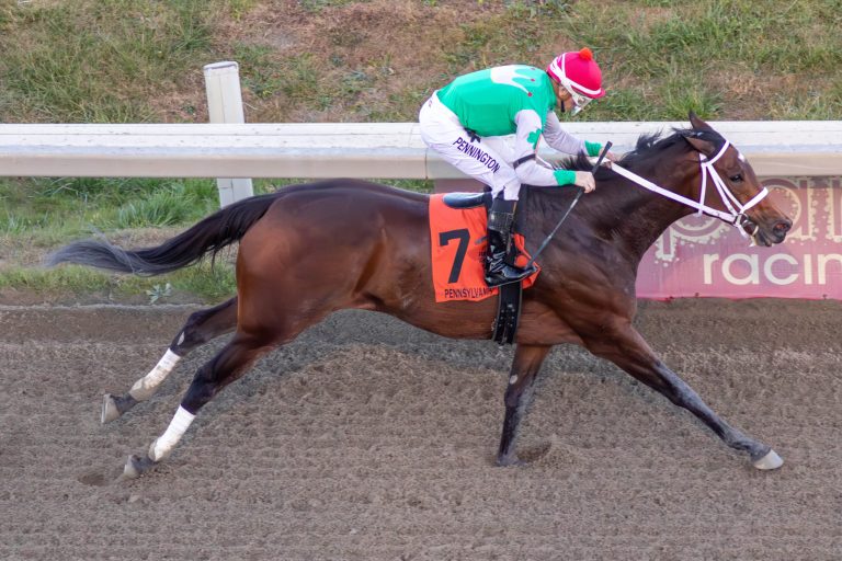 Race-9-CORNUCOPIA-at-Parx-11-27-24_DISCO-EBO_kim-pratt-photo-scaled