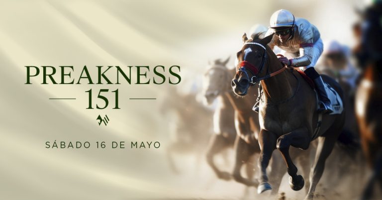 Datos Laurel Park y Preakness Stakes 2026 para hoy 16 de mayo MasterBets365 apuestas hipicas internacionales