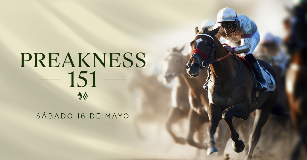 Datos Laurel Park y Preakness Stakes 2026 para hoy 16 de mayo MasterBets365 apuestas hipicas internacionales