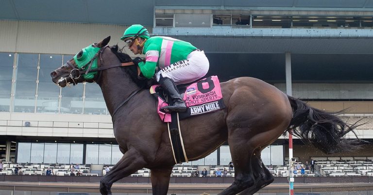 Datos de Belmont At The Big A hoy 10 de mayo masterbets365 picks y pronosticos