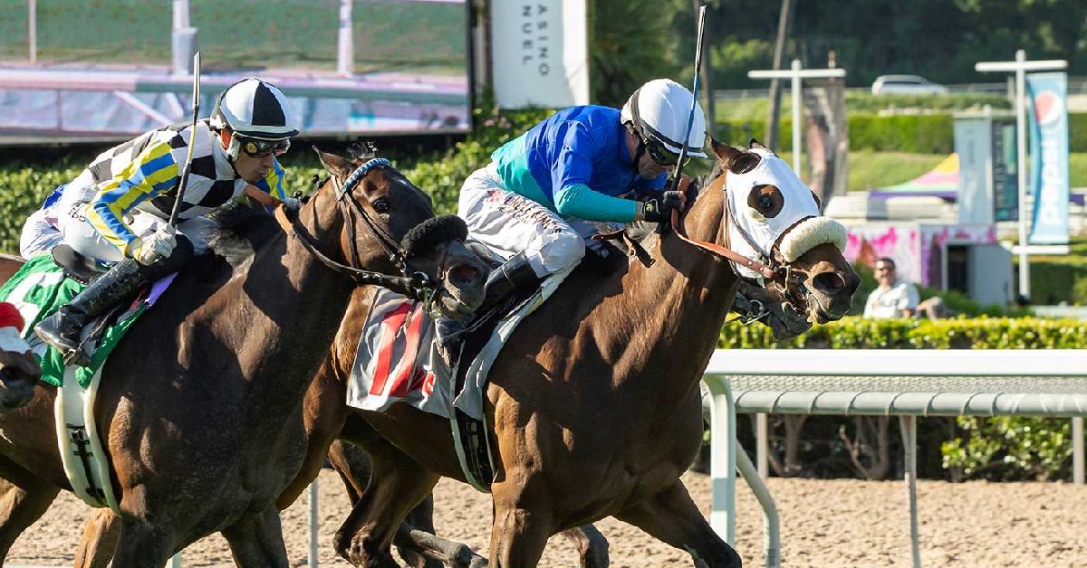 Datos de Santa Anita Park hoy 2 de mayo pronosticos carreras americanas