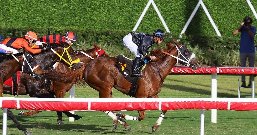 Datos fijos de Gulfstream Park hoy 2 de mayo datos de carreras americanas