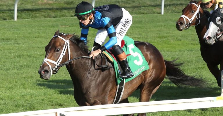 Picks y datos belmont park hoy 9 de mayo carreras de caballos internacionales pronosticos hipicos