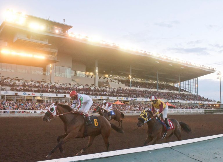 Los_Alamitos_starting_gate_scenic_grandstand_night_PRINT_credit_Los_Alamitos