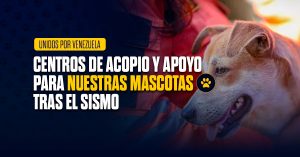 Centros de acopio mascotas