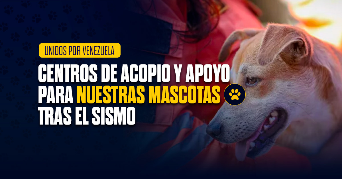 Centros de acopio mascotas