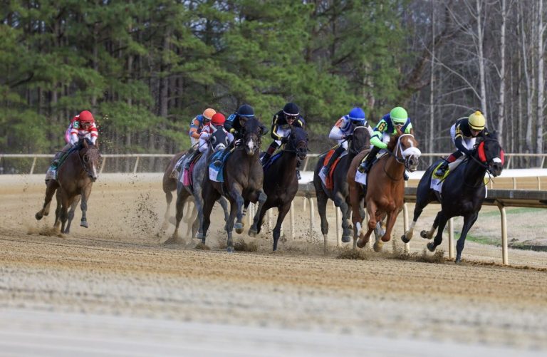 Pronóstico Colonial Downs