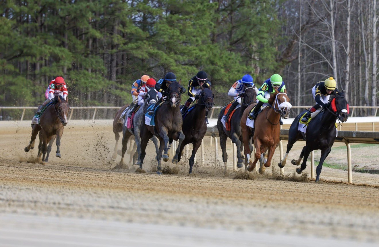 Pronóstico Colonial Downs