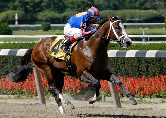 The-Green-Monkey-finishing-third-at-Belmont_Sarah_Andrew-WEB