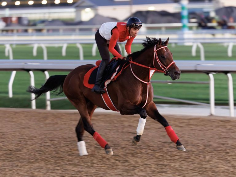 forever-young-on-the-main-track-at-belmont-park-09-12-26-credit-dom-napolitano-nyra